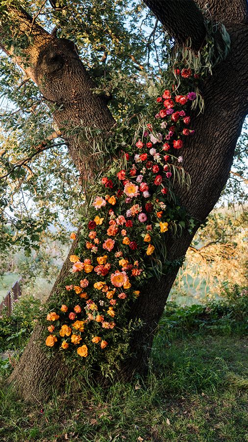 décoration florale arbre mariage 66